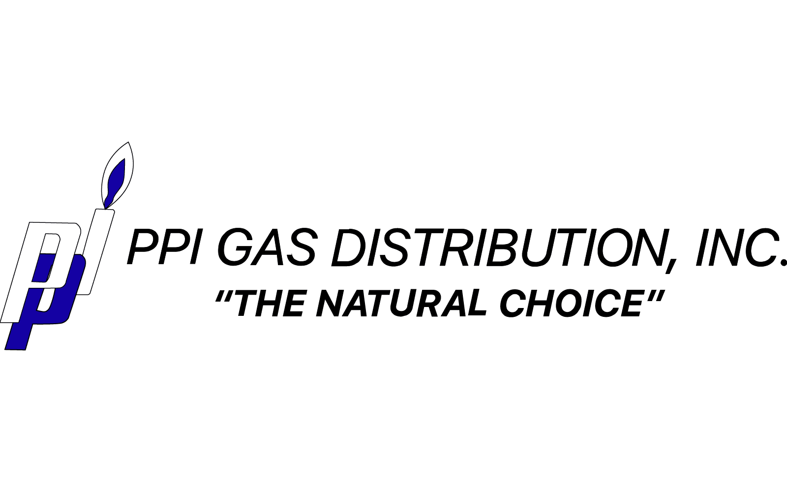 PPI-Partners-Logo